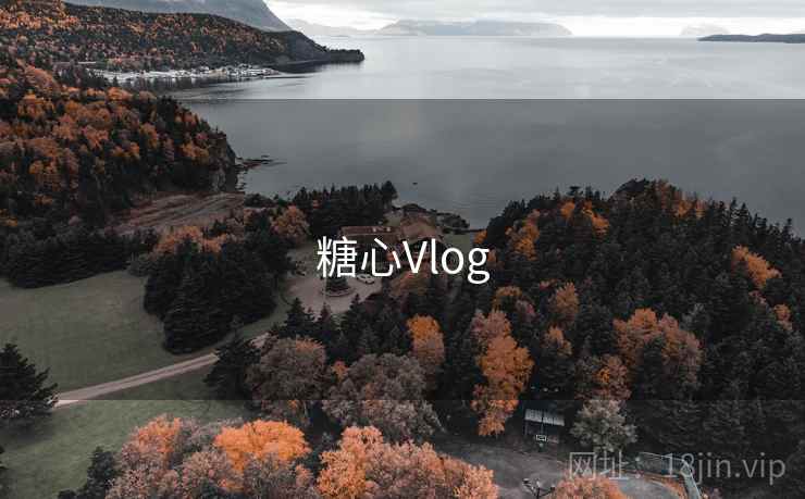 糖心Vlog