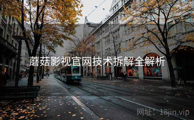 蘑菇影视官网技术拆解全解析