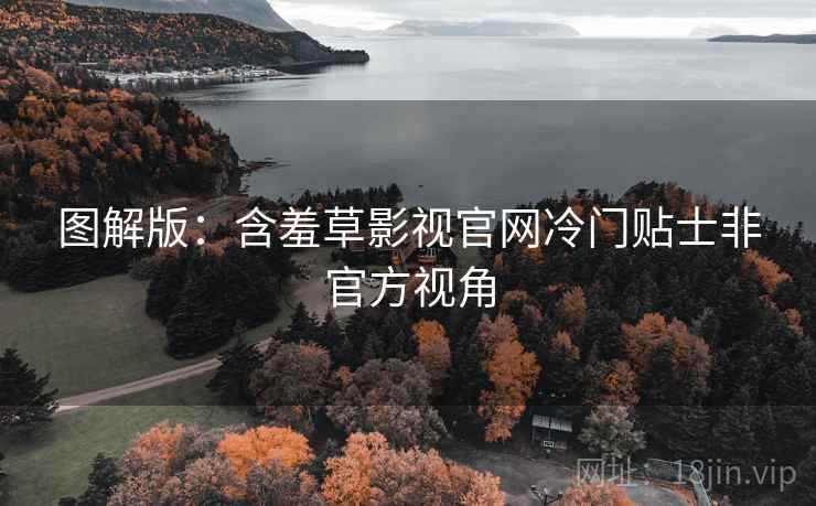 图解版：含羞草影视官网冷门贴士非官方视角